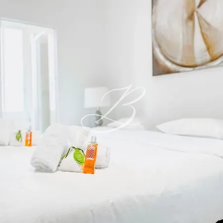 公寓 Le Felix Faure - Palais Centre